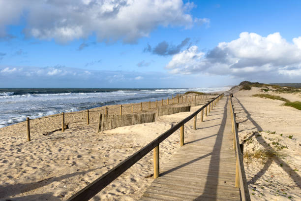 istock Wooden pathway leading to the beach 1830754388