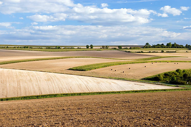 Country landscape stock photo