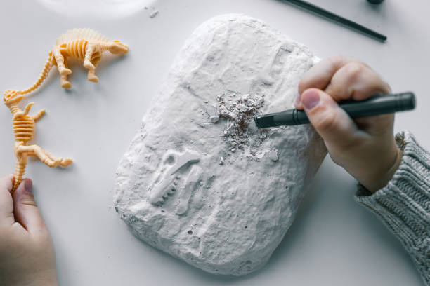 istock An interesting activity for children: excavating dinosaurs, 1830777977