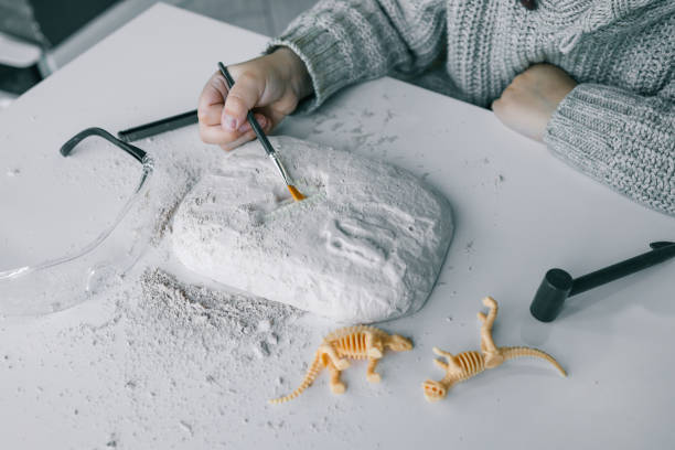 istock An interesting activity for children: excavating dinosaurs, 1830778070