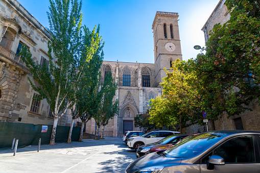 View of La BasÃ­lica de la Seu from a street in sunlight and blue sky. You can see various trees and parked cars on the right-hand side