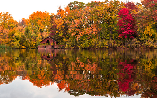 fall reflections eagan