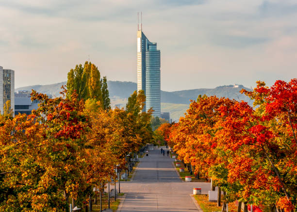 Danube embankment in autumn, Vienna, Austria