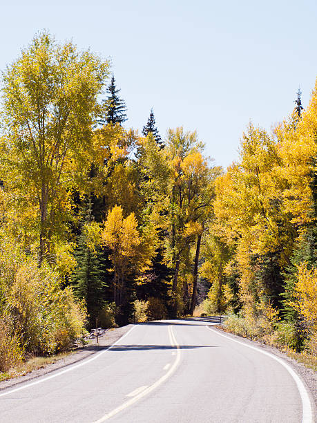 istock Autumn on the road 183080004