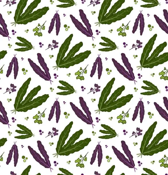 Vector illustration of seamless pattern Tuscan cabbage vector. Design for kale day, healthy food, health day, recipes