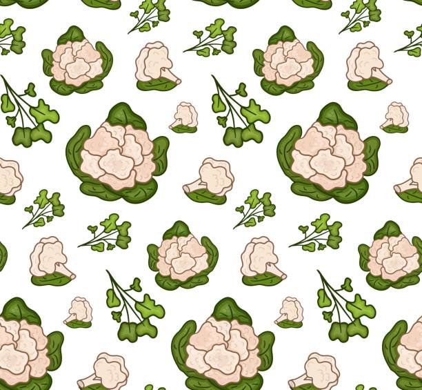 бесшовный узор цветная капуста векторная иллюстрация. дизайн ко дню капусты, дню здоровой пищи, рецептам. - backgrounds lettuce agriculture botany stock illustrations