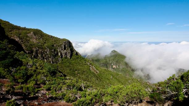 istock Landscapes at Madeira 1830823692