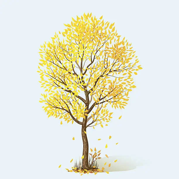 Vector illustration of autumn tree