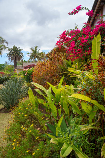 istock Beautiful ornamental garden (house)  on Easter Island, Chile ​ 1830844591