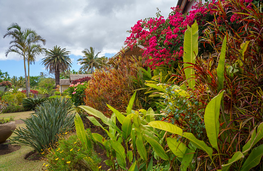 Beautiful ornamental garden (house)  on Easter Island, Chile ​