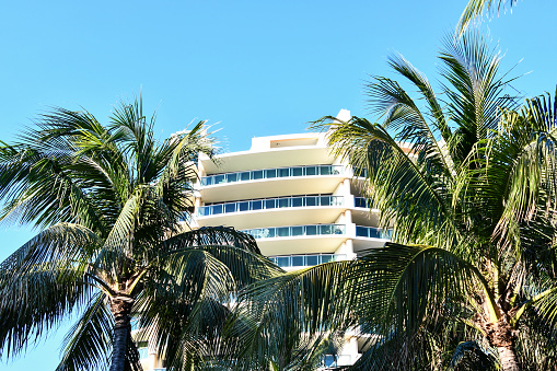 palm tree in front of building, photo as a background, digital image