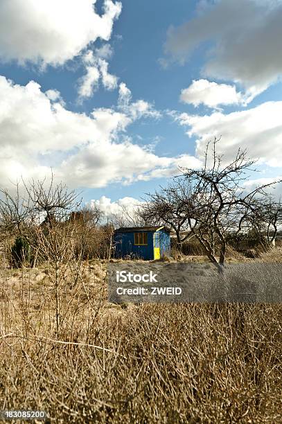 Blue Shack In Einer Wilden Garten Stockfoto und mehr Bilder von Baum - Baum, Blockhütte, Bretterbude