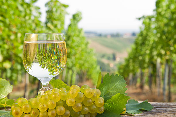 istock Glasses of wine in a vineyard 183085443
