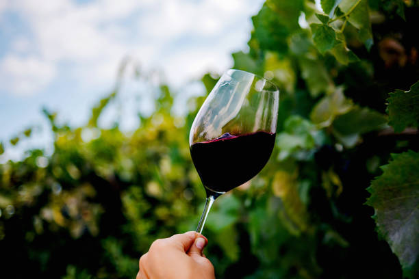 istock Glass of red wine on the table 1830895380