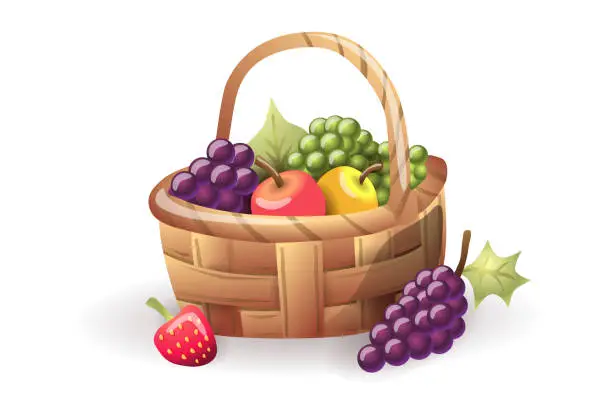 Vector illustration of Fruit basket illustration. Apples, grapes, strawberries. Thanksgiving Day.