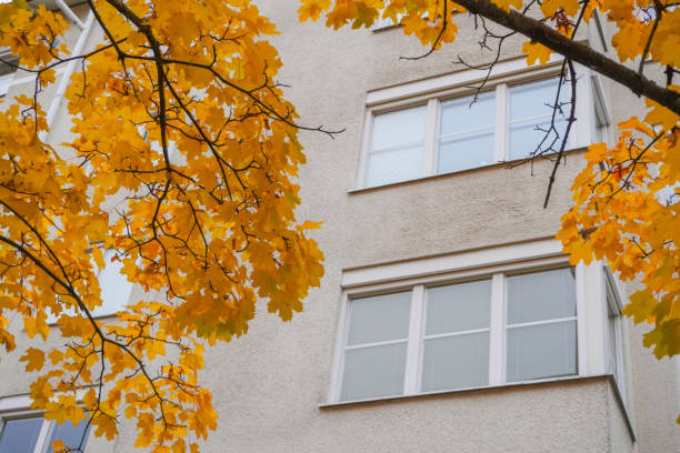 istock Low angle view of tree by building against sky 1830901328