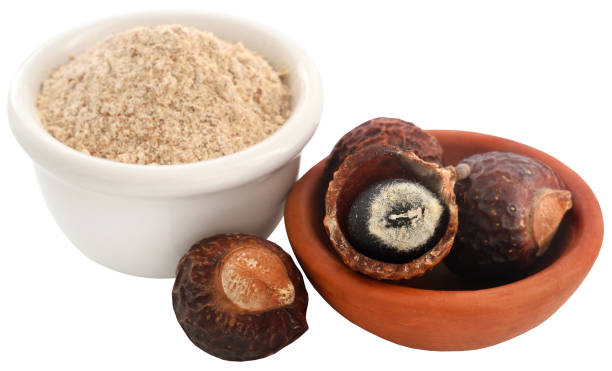 istock Sapindus mukorossi with powder 1830906547