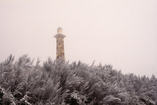 Astor Column in Astoria, Oregon in winter with snow on Scotch Broom weeds