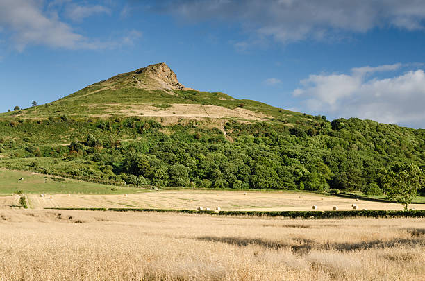 roseberry topping - hayfield stock-fotos und bilder