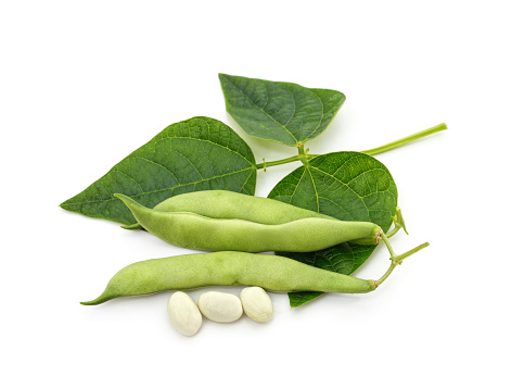 Beans in pods with leaves isolated on a white background.