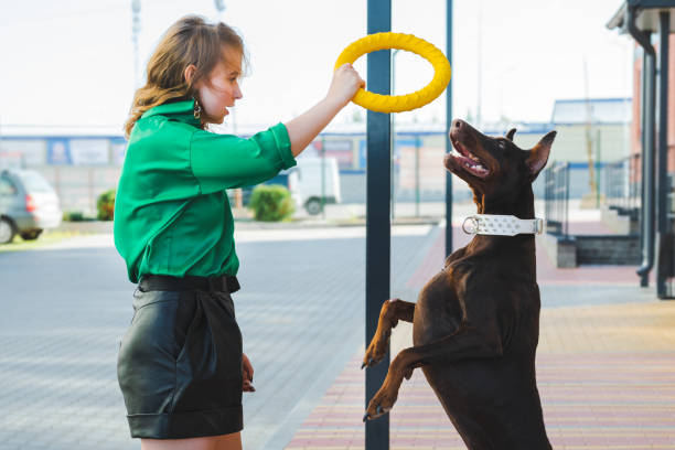 istock Woman walking doberman 1830995138
