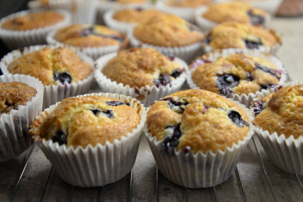 istock Homemade Blueberry Muffins in Bun Cases on Cooling Rack Ready to Eat 1831005155