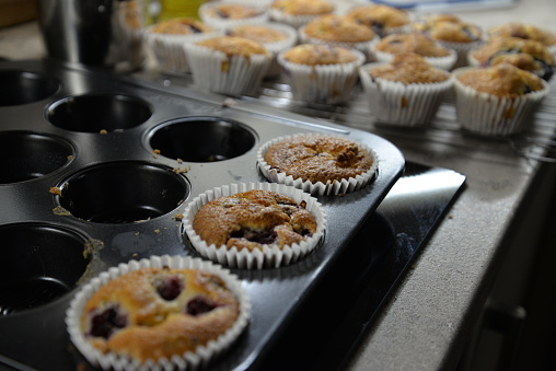 Homemade Blueberry Muffins in bun cases on Cooling Rack baked in kitchen