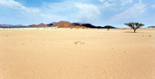 Un hermoso paisaje - foto de stock