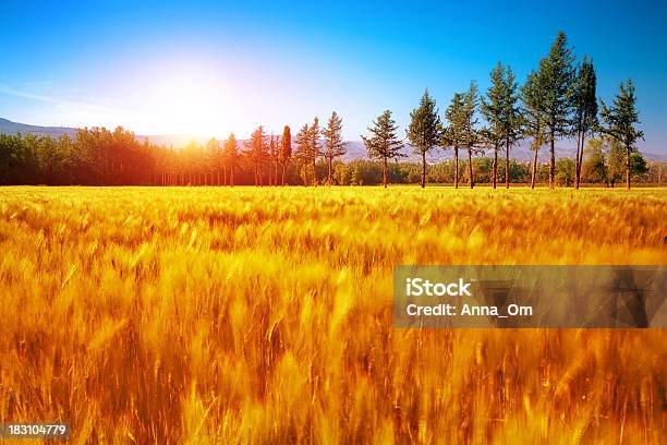 Beautiful Autumn Landscape Stock Photo - Download Image Now - Agriculture, Autumn, Day