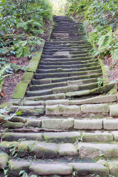 istock Stone stairs worn down over the years 1831062878