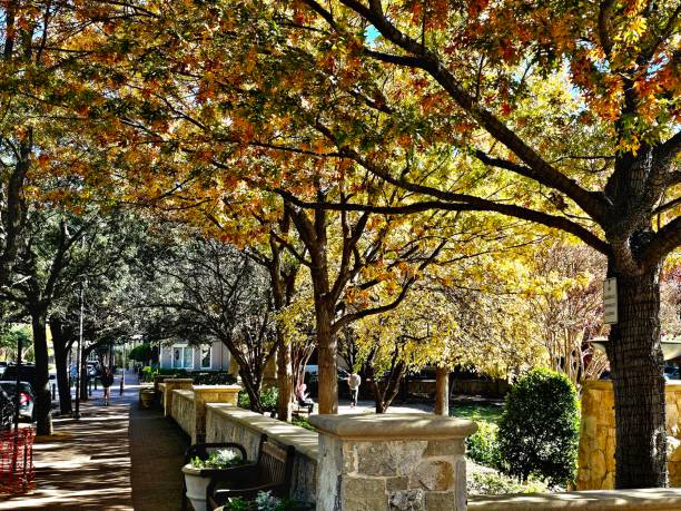 istock Colorful trees highlight Shops at Legacy 1831074506