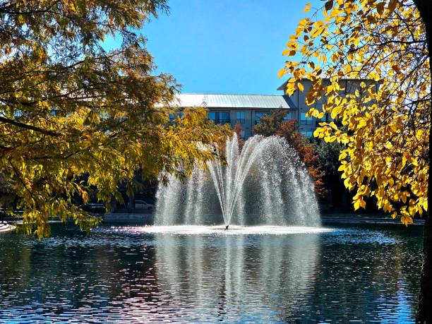 istock Colorful trees highlight Shops at Legacy 1831074513