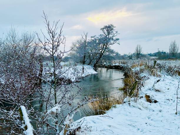 istock Follow me down the frosty river 1831081434