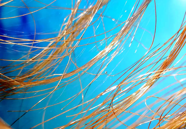 istock Copper wire stock photo. Abstract background. Blue background 1831106584