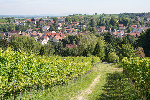 View of the municipality of Mühlhausen an der Enz