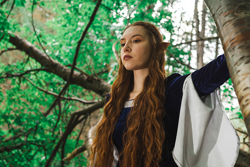 Portrait of a female elf warrior in a blue dress and red hair in the forest.