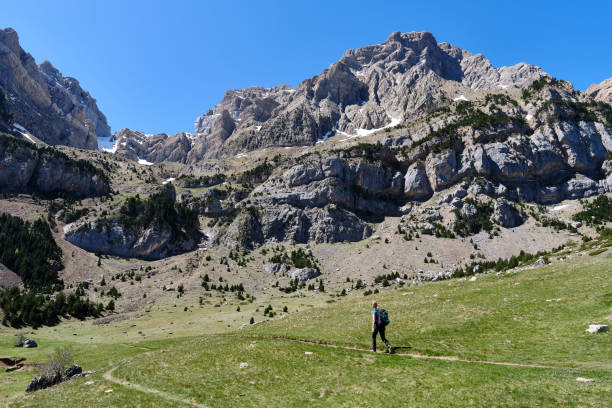 istock Unrecognizable traveler walking on plain by rocky mountains on sunny day 1831135641