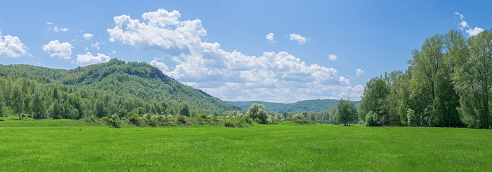 Beautiful clouds in the blue sky, the bright summer sun illuminates the green meadows on the hills. Spring, agriculture, ecology.