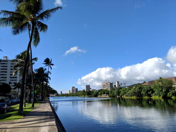 istock Ala Wai Canal in Honolulu 1831232345