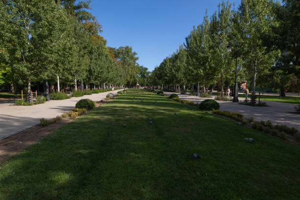 istock Retiro Park in Madrid 1831256187