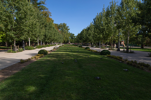 Parque Del Retiro in Madrid