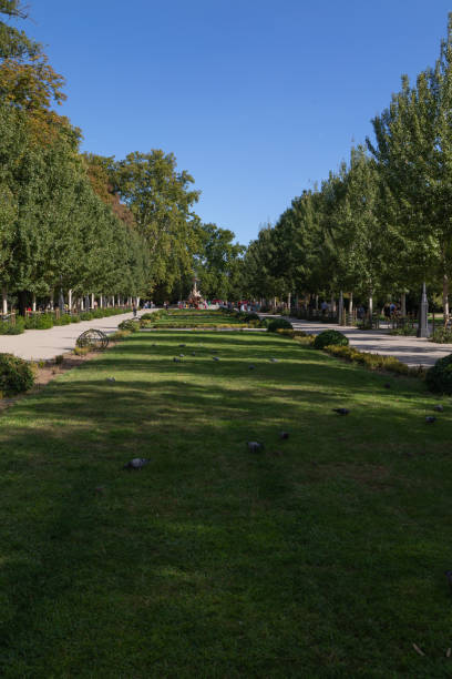 istock Retiro Park in Madrid 1831256698