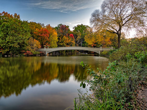 istock Bow bridge in late autumn 1831261341