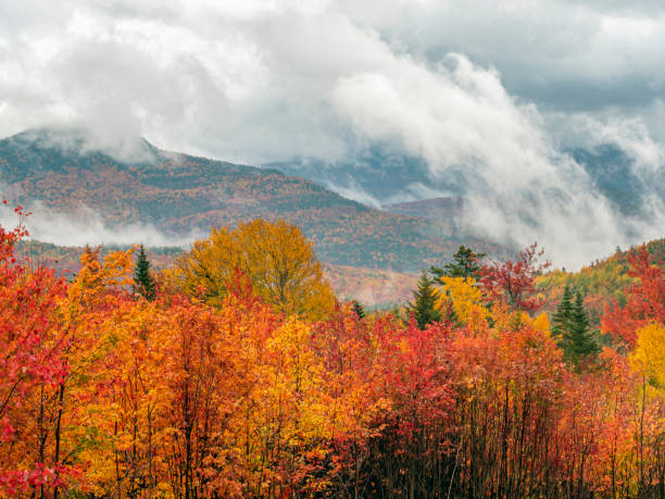 Landscape on The Kancamagus Highway in late autumn with dramatic morning sky