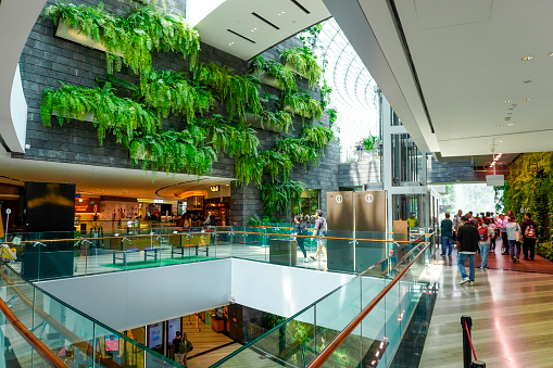 Singapore, Singapore - November 10, 2023: Changi Airport in Singapore, airport interiors