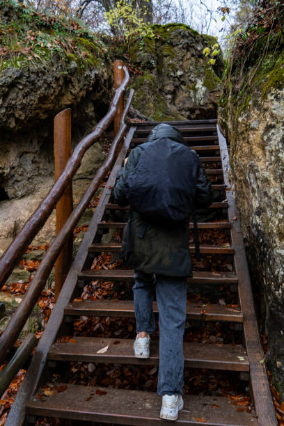 istock Umbrella-clad hiker ascends woodland steps. 1831279268
