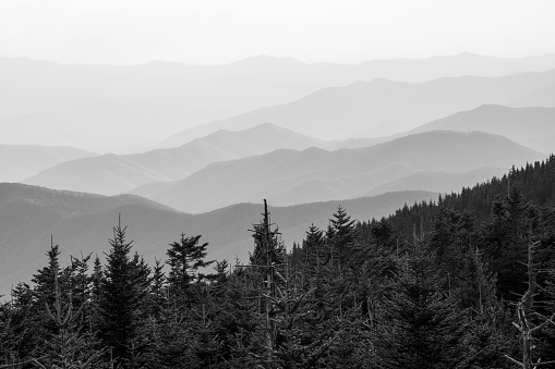 Scenic mountain view from Clingmans Dome, Great Smoky Mountains National Park, USA