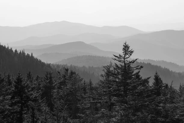 Scenic mountain view from Clingmans Dome, Great Smoky Mountains National Park, USA