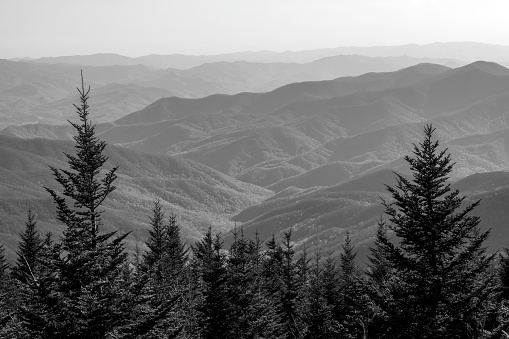 Scenery from Clingmans Dome, Great Smoky Mountains National Park, USA