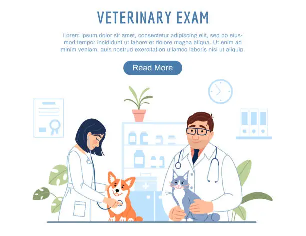 Vector illustration of Veterinary exam landing page. Young veterinarians with dog and cat examining cute animals on pet hospital background. Flat line website template with button. Vet clinic homepage vector illustration.